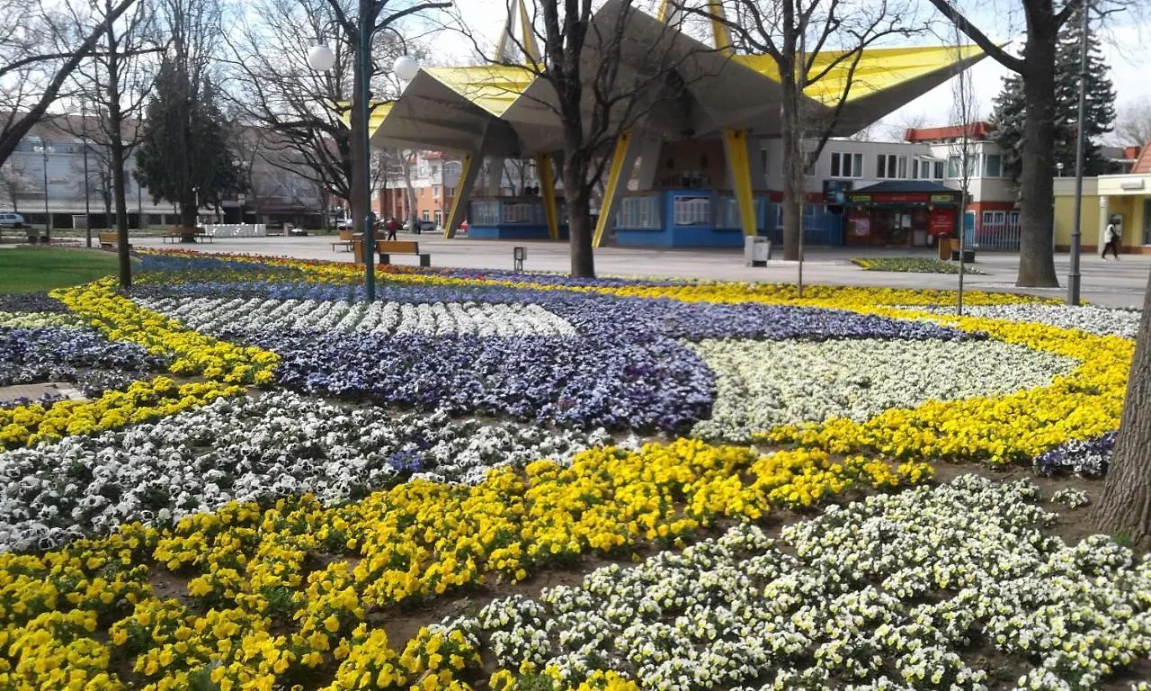 Marina Apartman Apartment Hajduszoboszlo Hungary